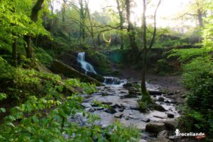 Brocéliande