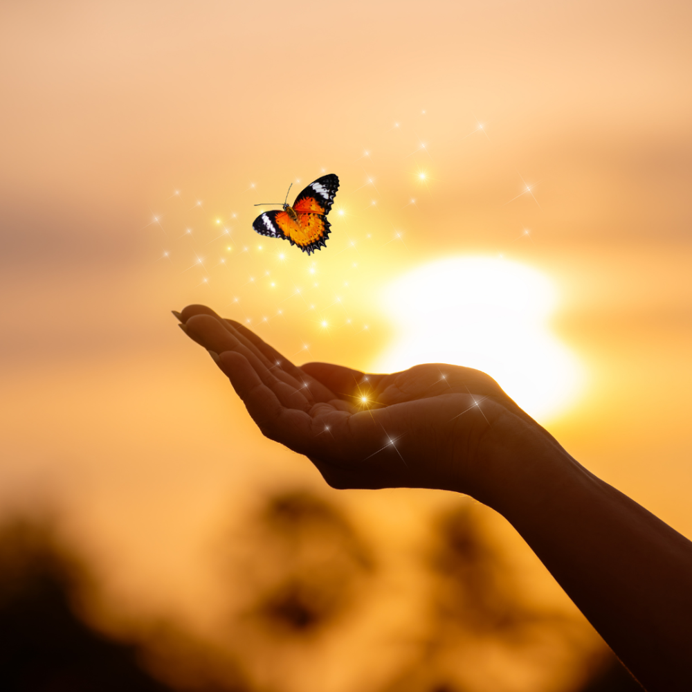 Permanence vie libre